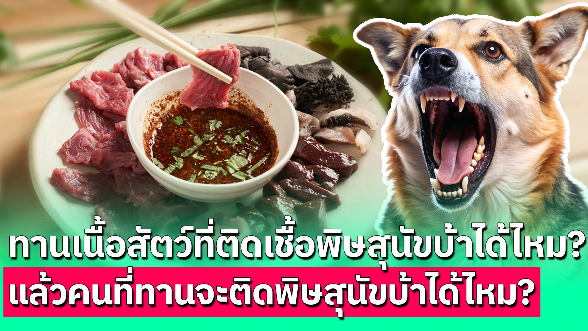 โรคพิษสุนัขบ้า