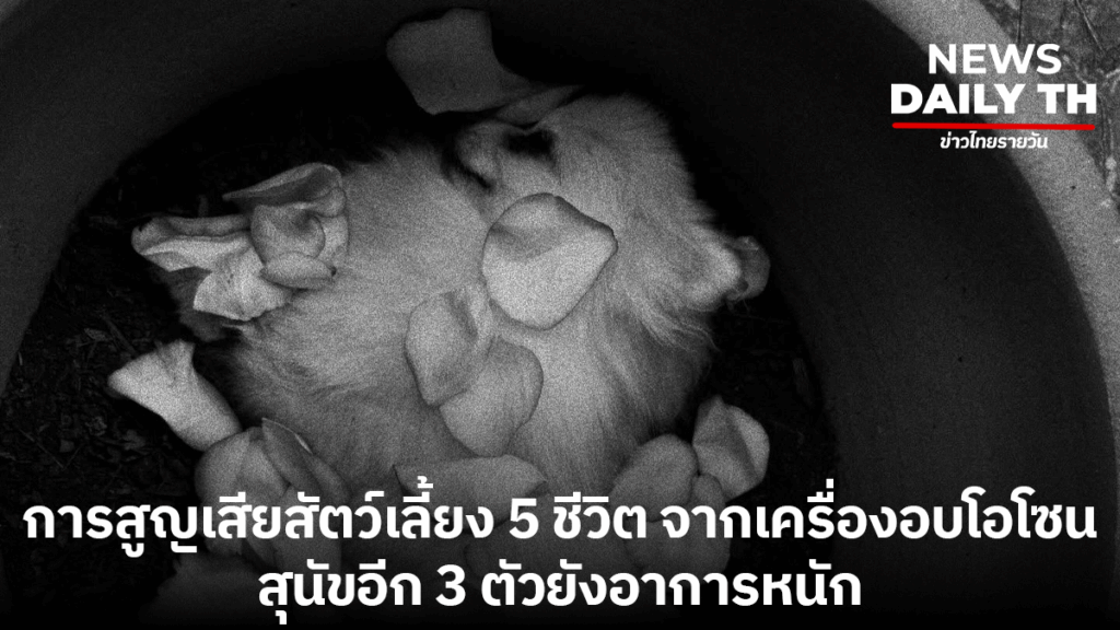 อันตราย อบโอโซน